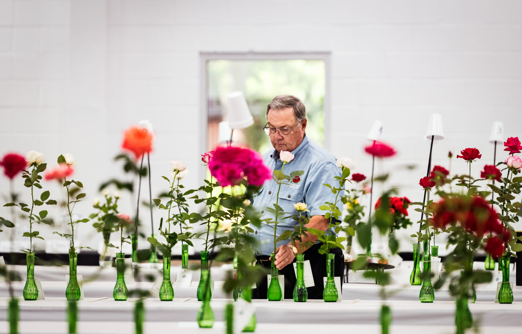 Rose Show